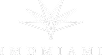 IMDMiami
